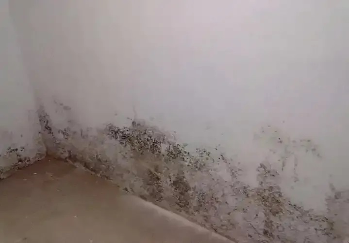 防水≠防滲！80%的人都弄錯(cuò)了！