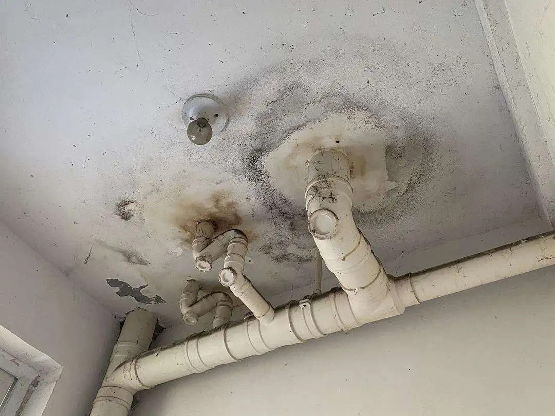 防水做了等于白做？青龍防水教你避開施工8大坑，讓工程不再漏水！