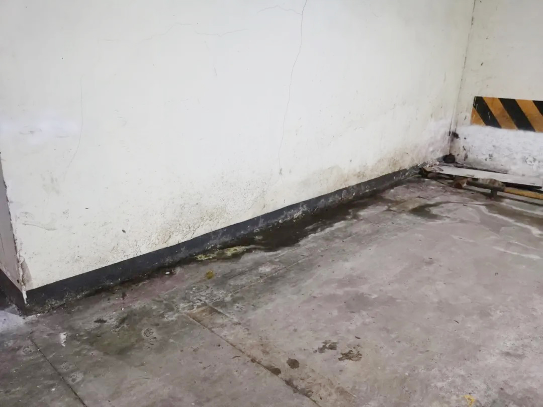 防水層泛白？別急著鏟！90%的人都不知道的真正原因